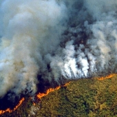 Ash rain and eclipse: Brazil is drowning in smoke due to fires in the Amazon forests