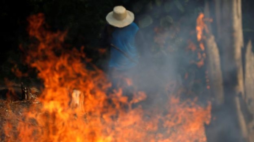 Ash rain and eclipse: Brazil is drowning in smoke due to fires in the Amazon forests