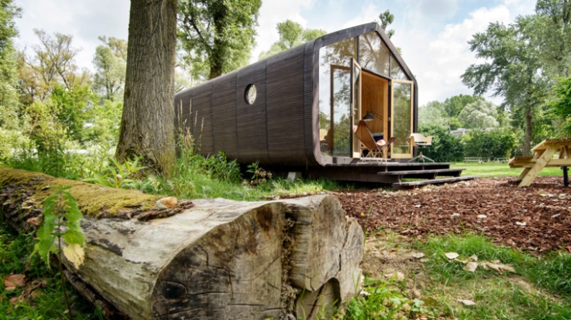 Assembled in 1 day, will last 100 years: the Dutch have created a fully functional cardboard house