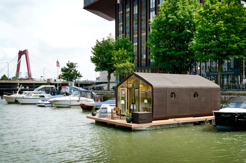 Assembled in 1 day, will last 100 years: the Dutch have created a fully functional cardboard house