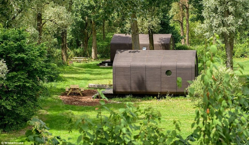 Assembled in 1 day, will last 100 years: the Dutch have created a fully functional cardboard house