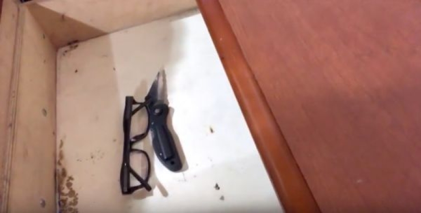 At risk to health: the blogger checked the most lousy establishments in his city, subscribers are delighted At risk to health: the blogger checked the most lousy establishments in his city, subscribers are delighted