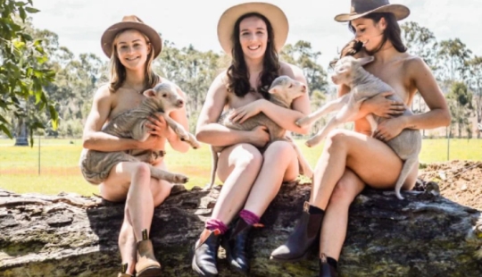 Australian veterinary students stripped to fight suicide