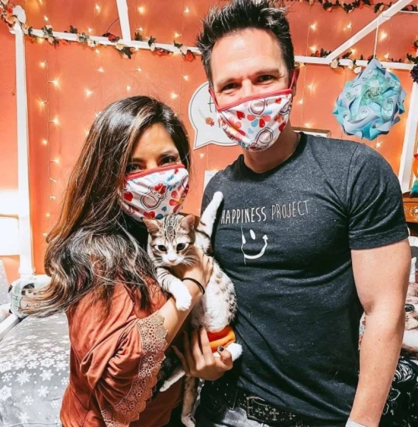 Ayofe el gato con las patas paralizadas, que tuvo suerte con los dueños