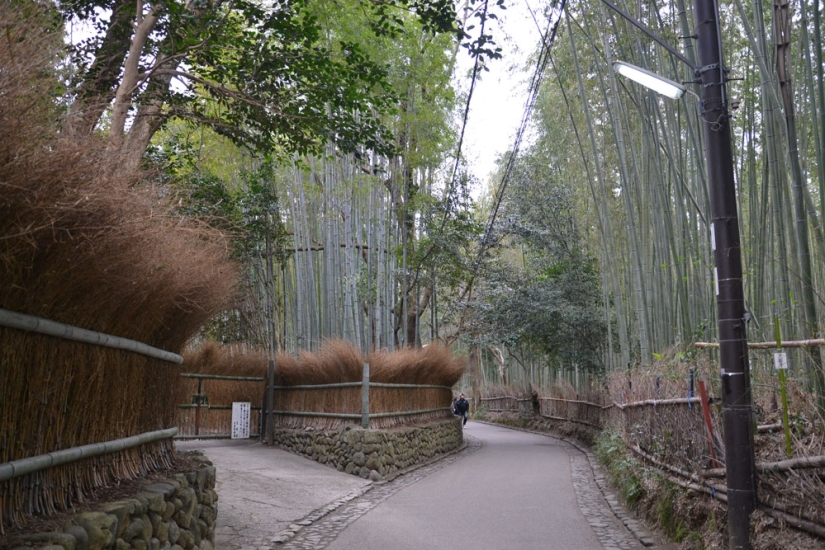 Bamboo corridor at the foot of the mountain in Kyoto Bamboo corridor at the foot of the mountain in Kyoto