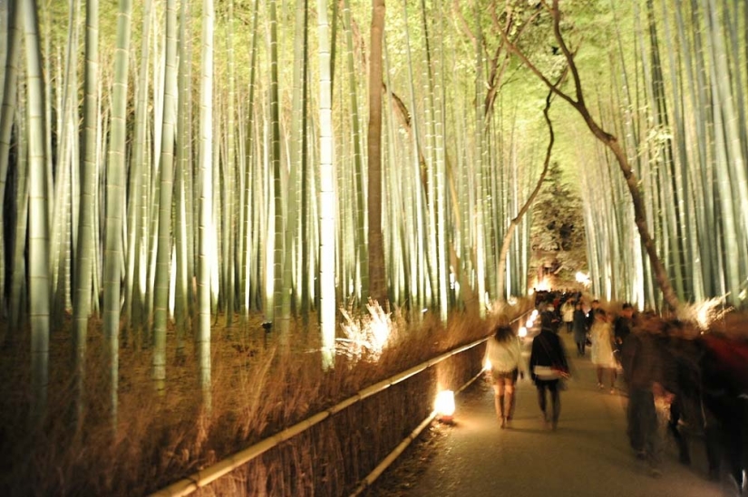 Bamboo corridor at the foot of the mountain in Kyoto Bamboo corridor at the foot of the mountain in Kyoto