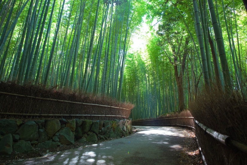 Bamboo corridor at the foot of the mountain in Kyoto Bamboo corridor at the foot of the mountain in Kyoto