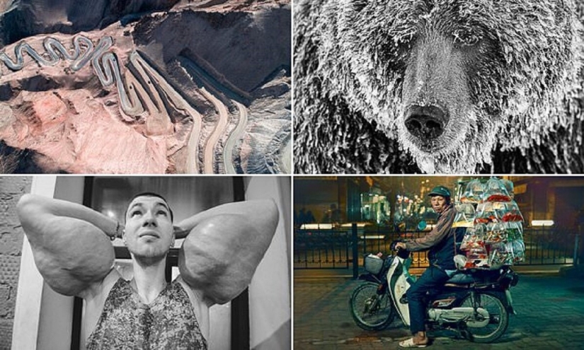 Bazooka hands and other pictures from the Sony World Photography Award 2020 shortlist Bazooka hands and other pictures from the Sony World Photography Award 2020 shortlist