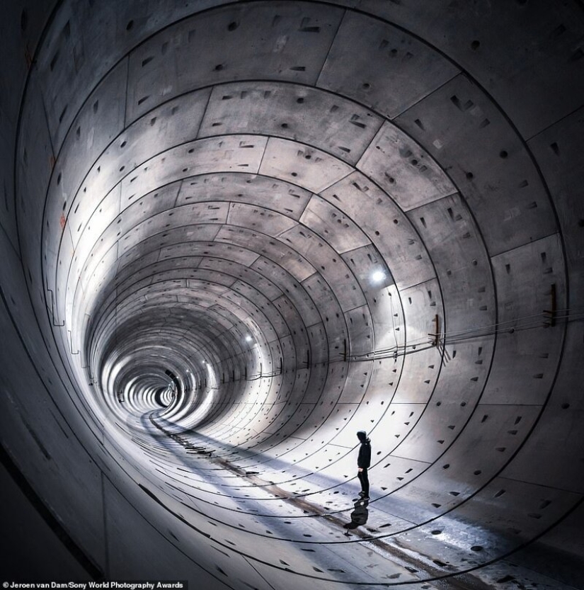 Bazooka hands and other pictures from the Sony World Photography Award 2020 shortlist Bazooka hands and other pictures from the Sony World Photography Award 2020 shortlist