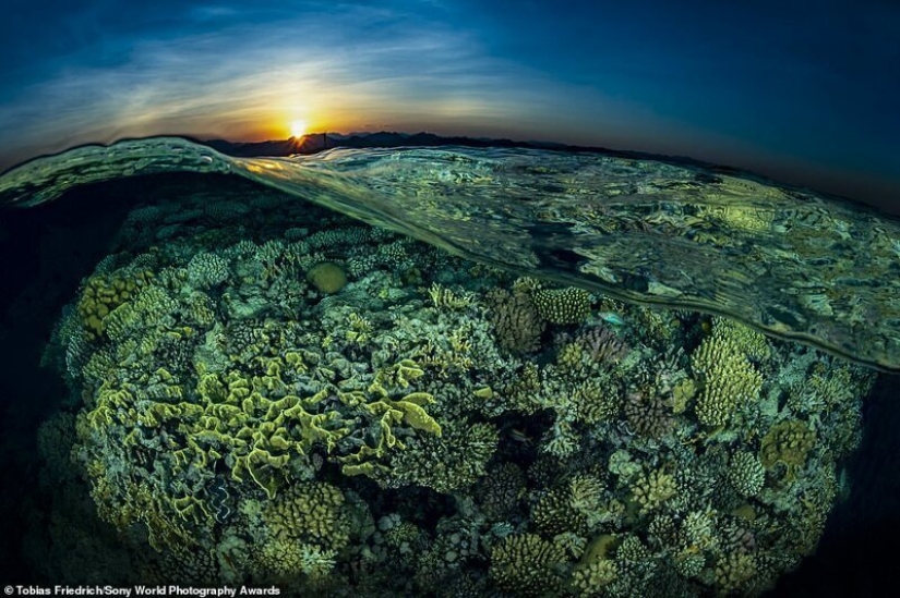 Bazooka hands and other pictures from the Sony World Photography Award 2020 shortlist Bazooka hands and other pictures from the Sony World Photography Award 2020 shortlist