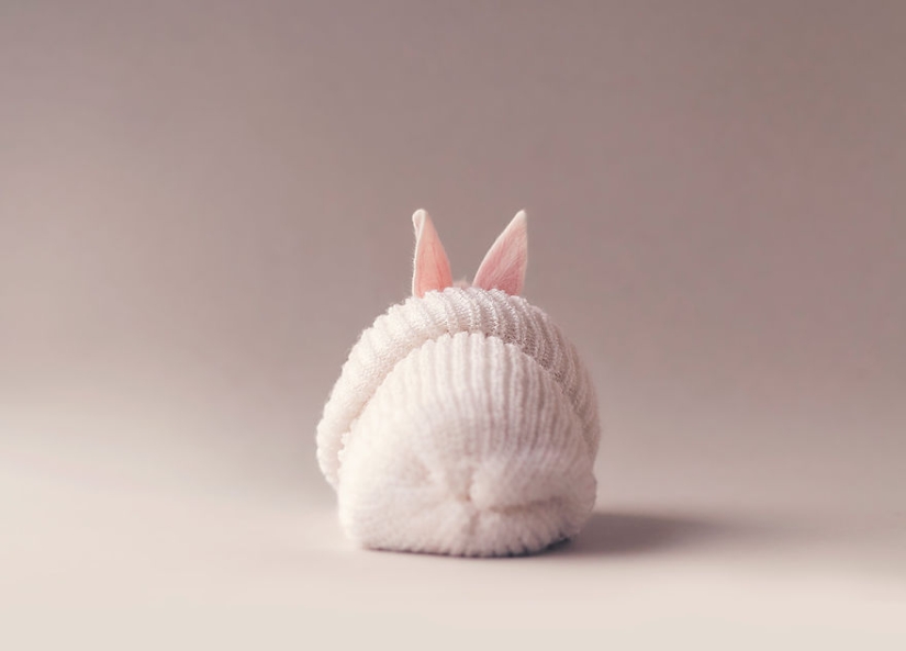 Be careful, the mimeter gap: a photo shoot of a newborn rabbit