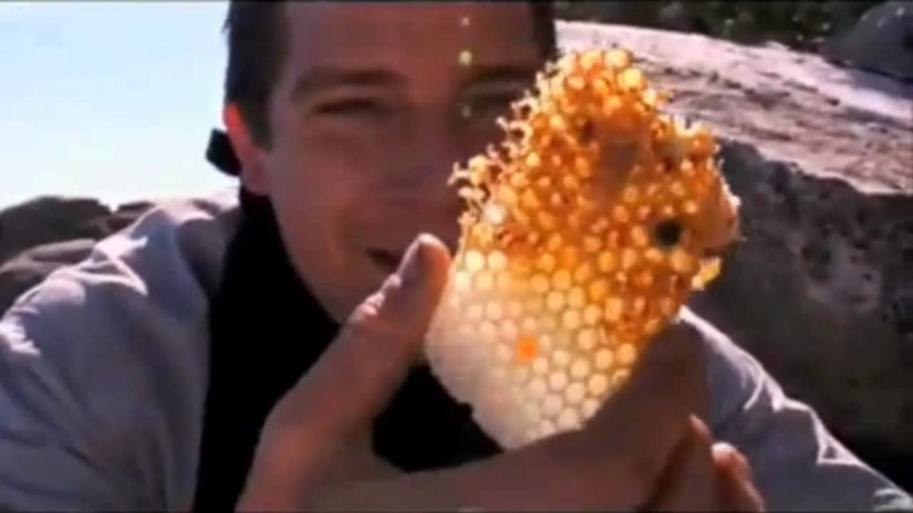 Bear Grylls estuvo al borde de la vida o la muerte durante el rodaje de nuevos episodios del programa