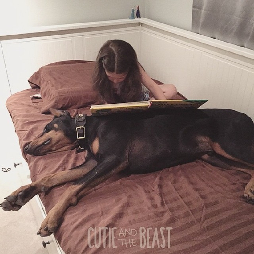 Beauty and the Beast: the amazing friendship of a tiny girl with a giant Doberman Beauty and the Beast: the amazing friendship of a tiny girl with a giant Doberman