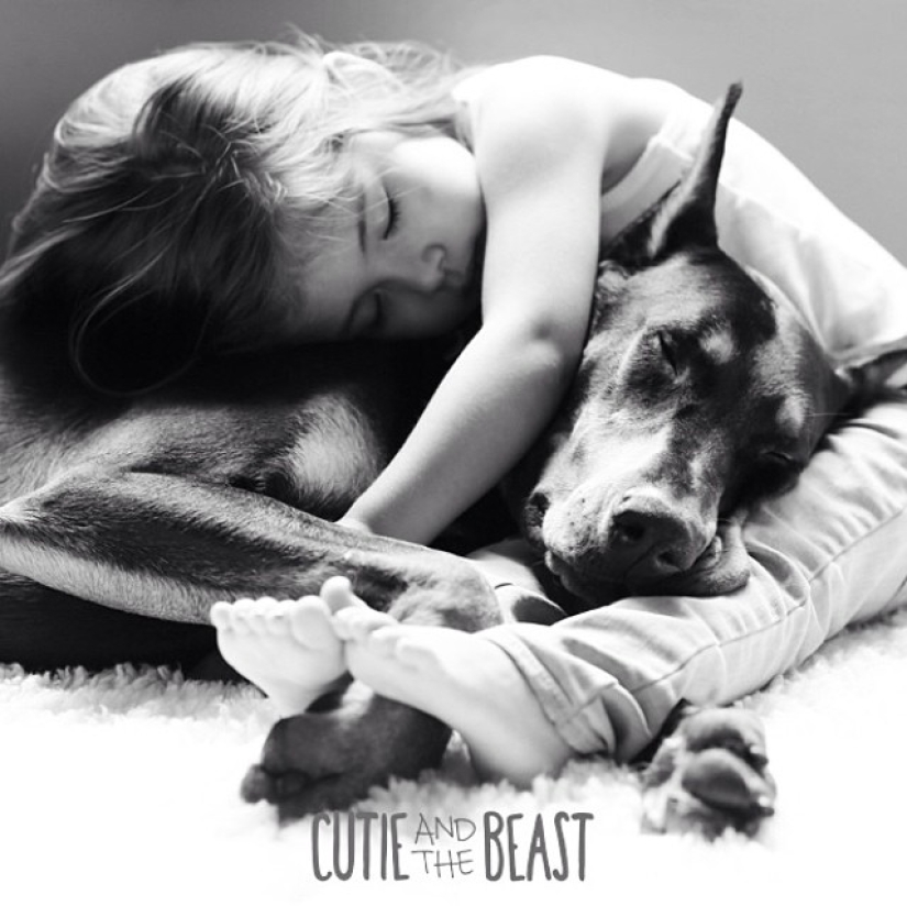 Beauty and the Beast: the amazing friendship of a tiny girl with a giant Doberman Beauty and the Beast: the amazing friendship of a tiny girl with a giant Doberman