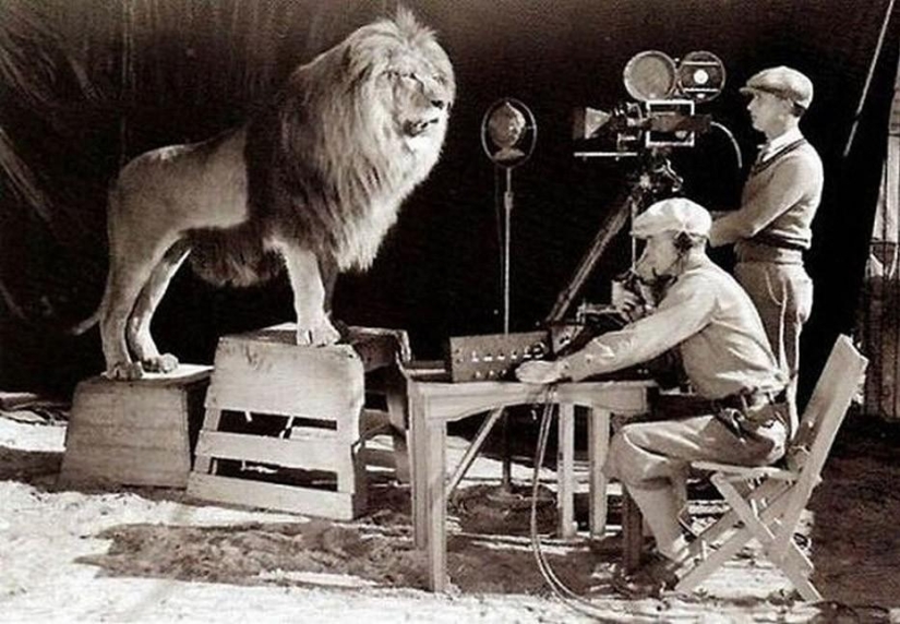 Behind the scenes of your favorite movies - 50 photos that reveal the secrets of filming