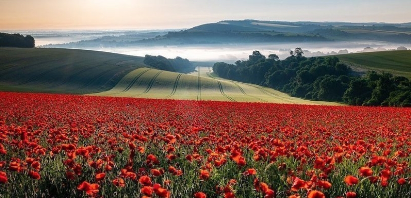 Belleza Sobrenatural: las mejores imágenes del Concurso de Fotografía de Paisaje del Fotógrafo de Paisajes del Año 2018