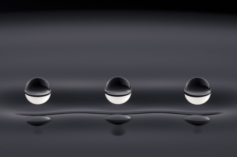Best Scientific Photos of the Year: winners of the Royal Society Publishing Photography Competition 2019 Best Scientific Photos of the Year: winners of the Royal Society Publishing Photography Competition 2019