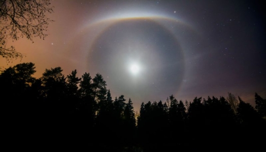 Best Scientific Photos of the Year: winners of the Royal Society Publishing Photography Competition 2019