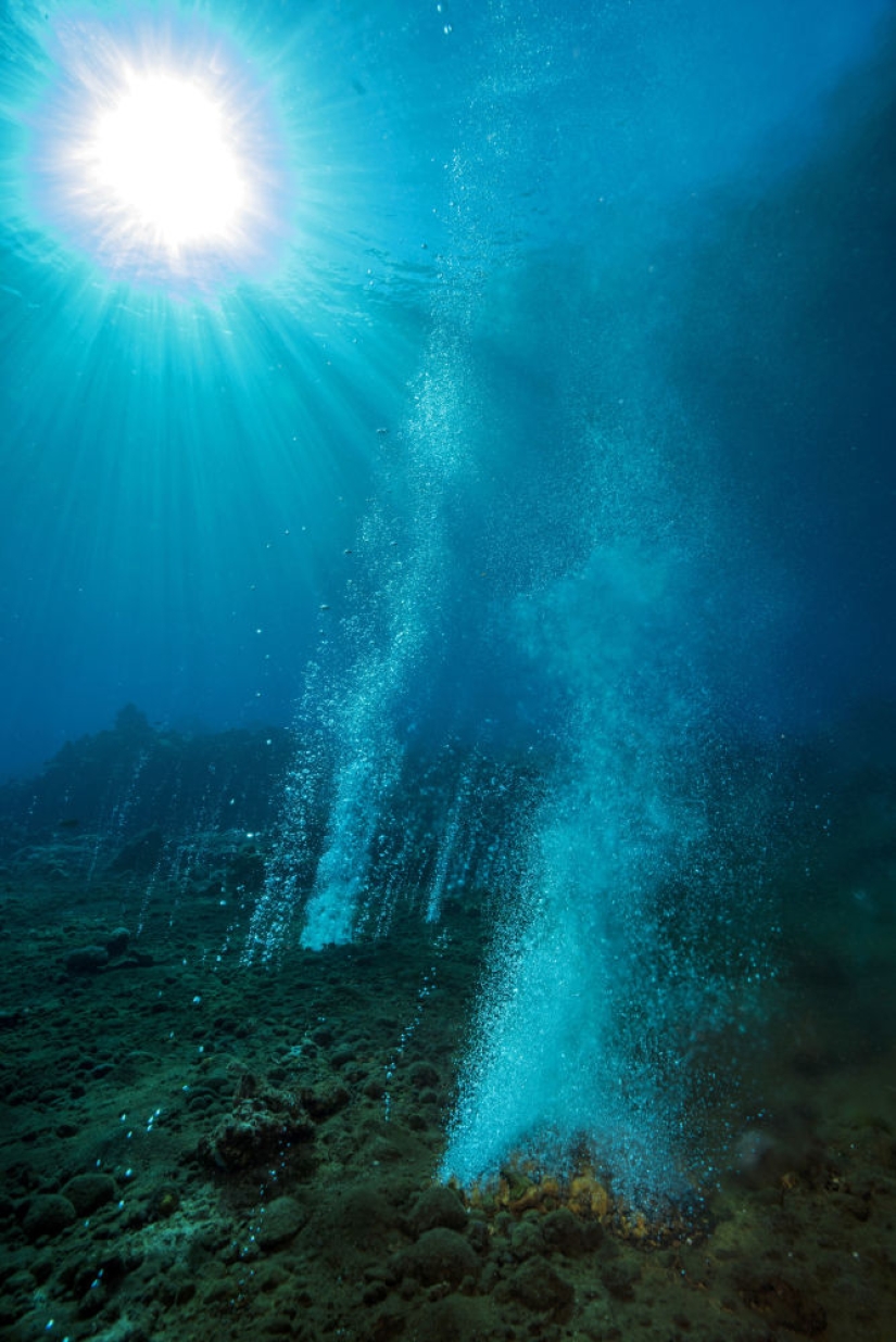Best Scientific Photos of the Year: winners of the Royal Society Publishing Photography Competition 2019 Best Scientific Photos of the Year: winners of the Royal Society Publishing Photography Competition 2019