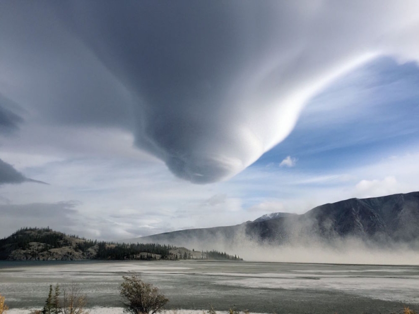 Best Scientific Photos of the Year: winners of the Royal Society Publishing Photography Competition 2019 Best Scientific Photos of the Year: winners of the Royal Society Publishing Photography Competition 2019