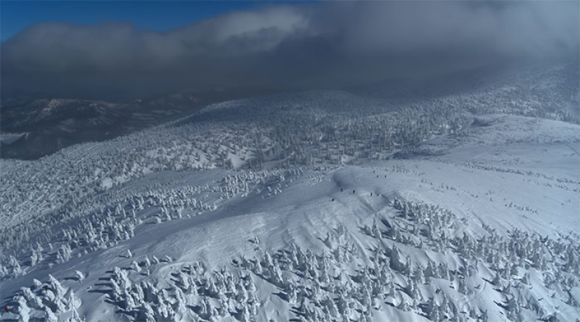 Bienvenidos a la carretera con más nieve del mundo