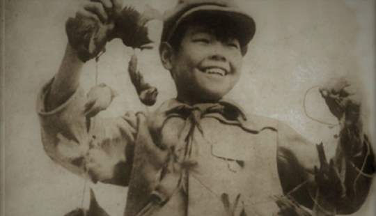 Bird genocide: how nature took revenge on the Chinese for the extermination of sparrows