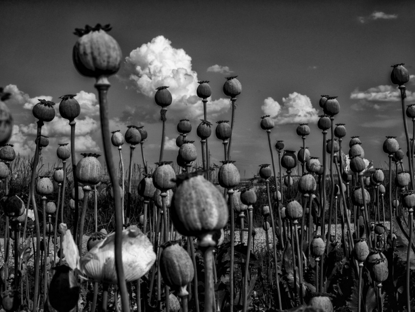 Black and White opening day: masterpieces of the Black&White International Award Rome competition
