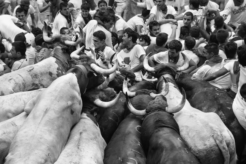 Black and White opening day: masterpieces of the Black&White International Award Rome competition
