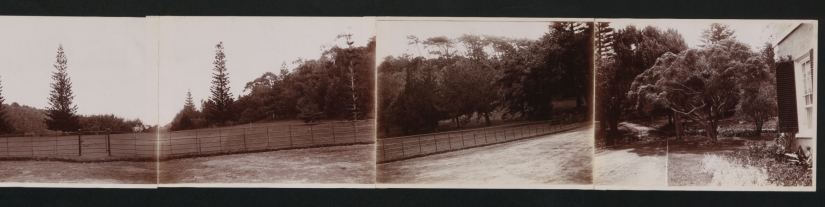 Black and white St. Helena Island Black and white St. Helena Island