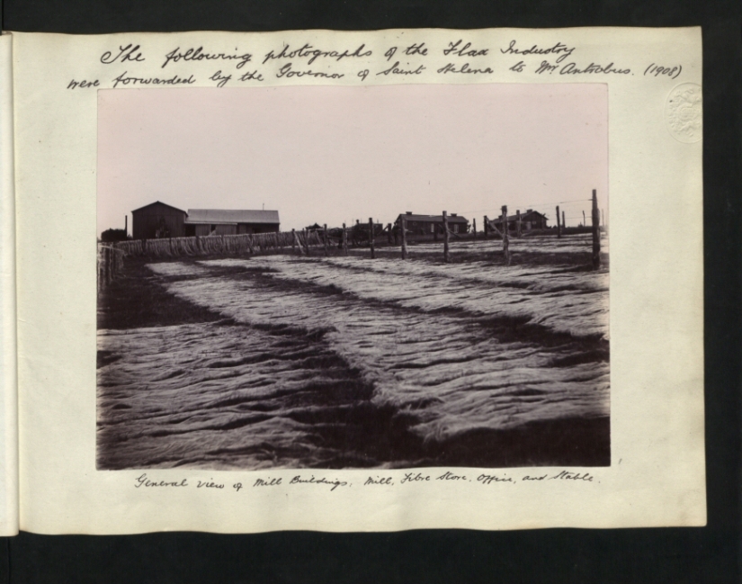 Black and white St. Helena Island Black and white St. Helena Island