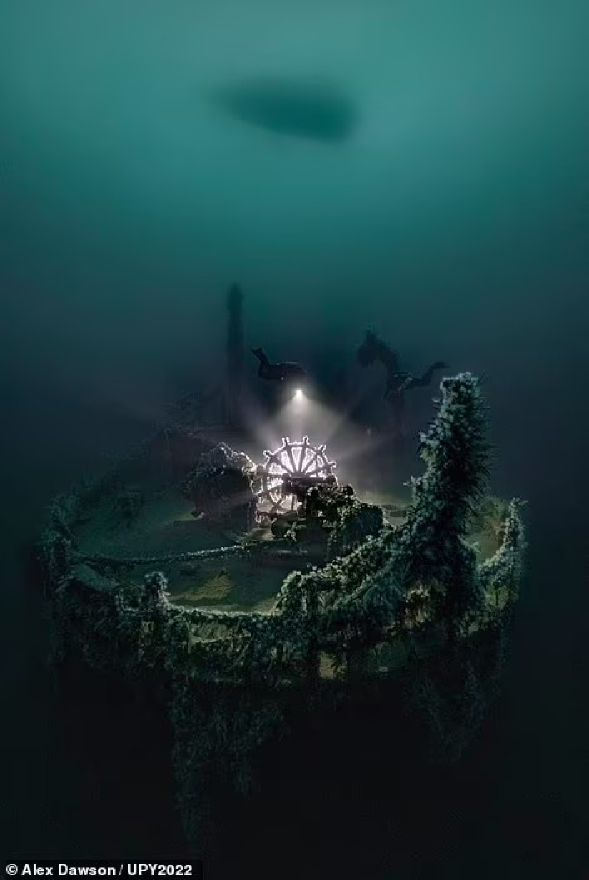 Bodybuilder Turtle, Creepy US Navy Shipwreck and Shattered Fish in Scotland: Incredible Winners of Underwater Photographer of the Year 2022