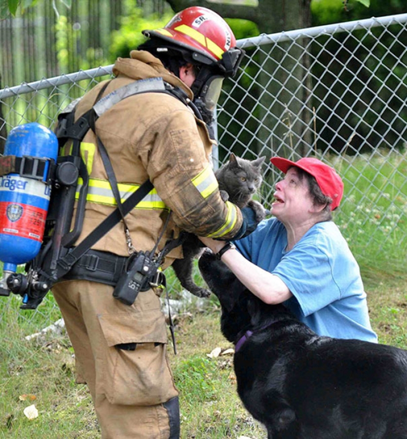 Brave firefighters who risked their lives to save animals Brave firefighters who risked their lives to save animals