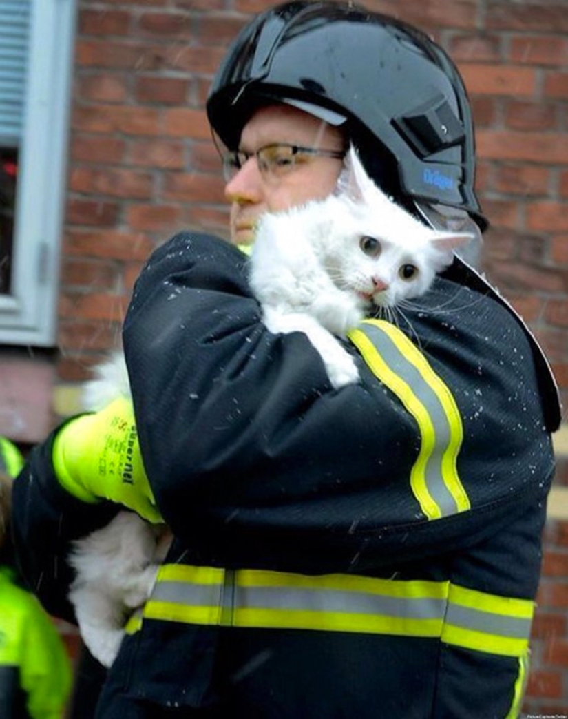 Brave firefighters who risked their lives to save animals Brave firefighters who risked their lives to save animals