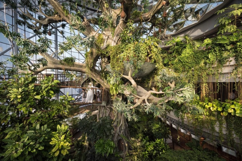 "Bread and circuses": photographer filmed the life of Dubai's rich