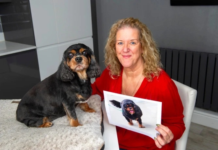 Breathed a sigh of relief: 6 pets who got into shape after obesity Breathed a sigh of relief: 6 pets who got into shape after obesity