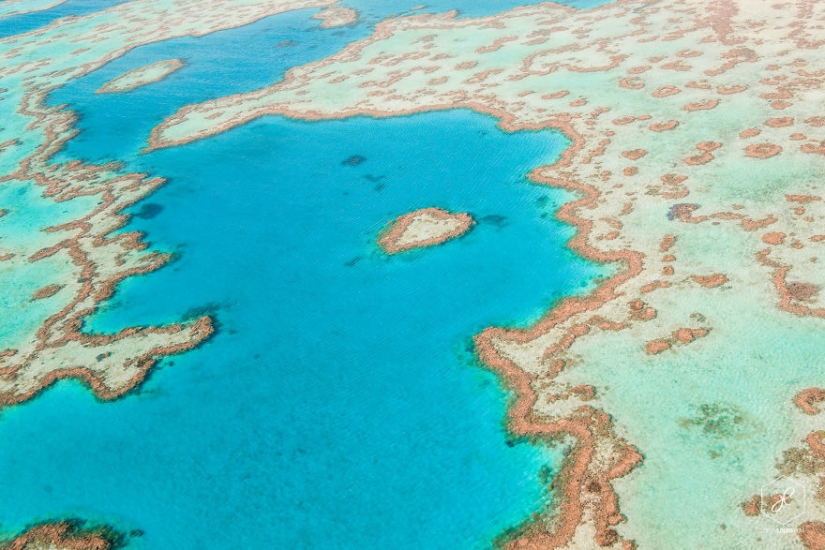 Breathtaking photos of a traveler who has traveled more than 40,000 km across Australia