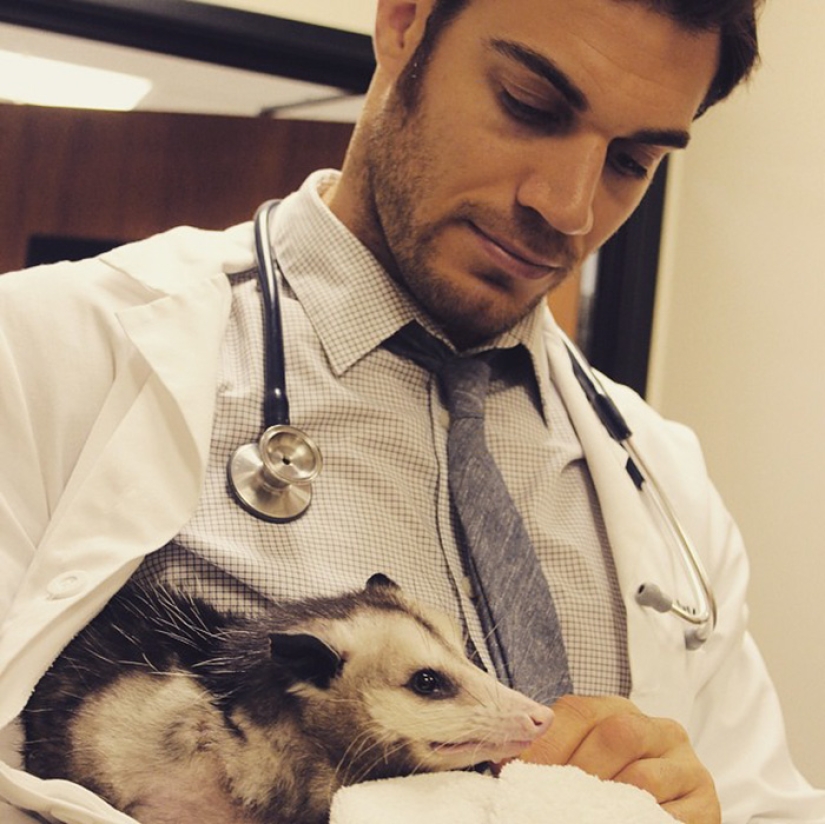 Bueno, ¿no es este el veterinario más sexy?