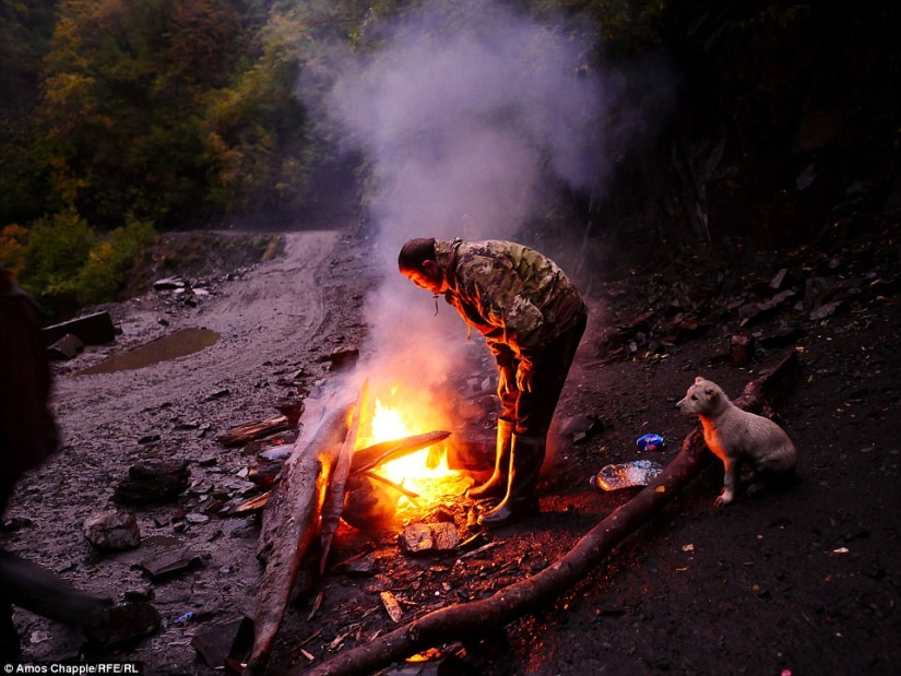 Cada año, miles de ovejas en Georgia hacen un viaje peligroso desde las montañas con una altura de 3000 metros Cada año, miles de ovejas en Georgia hacen un viaje peligroso desde las montañas con una altura de 3000 metros