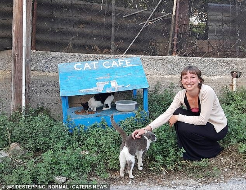Calm, only calm! A couple of Britons quit their jobs and moved to Crete in a small village