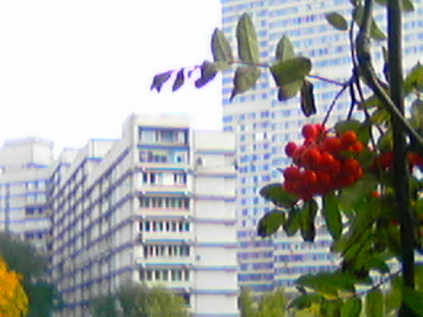 Cambio descendente de fotos: un moscovita ha estado filmando con un Siemens de botón pulsador durante tres años, y a la gente le gusta Cambio descendente de fotos: un moscovita ha estado filmando con un Siemens de botón pulsador durante tres años, y a la gente le gusta