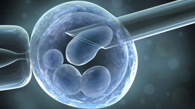 Can IVF cause cancer? Opinion of medical experts Can IVF cause cancer? Opinion of medical experts