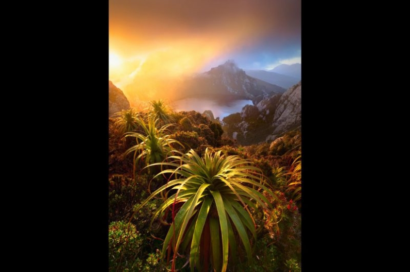 Canguros bajo la nieve y otras maravillas naturales de Australia en el concurso de fotografía Fotógrafo de Naturaleza del Año 2019 Canguros bajo la nieve y otras maravillas naturales de Australia en el concurso de fotografía Fotógrafo de Naturaleza del Año 2019