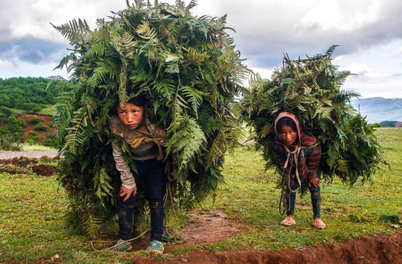 "Caras encantadoras": los mejores retratos de los Premios Internacionales de Fotografía de Siena 2017