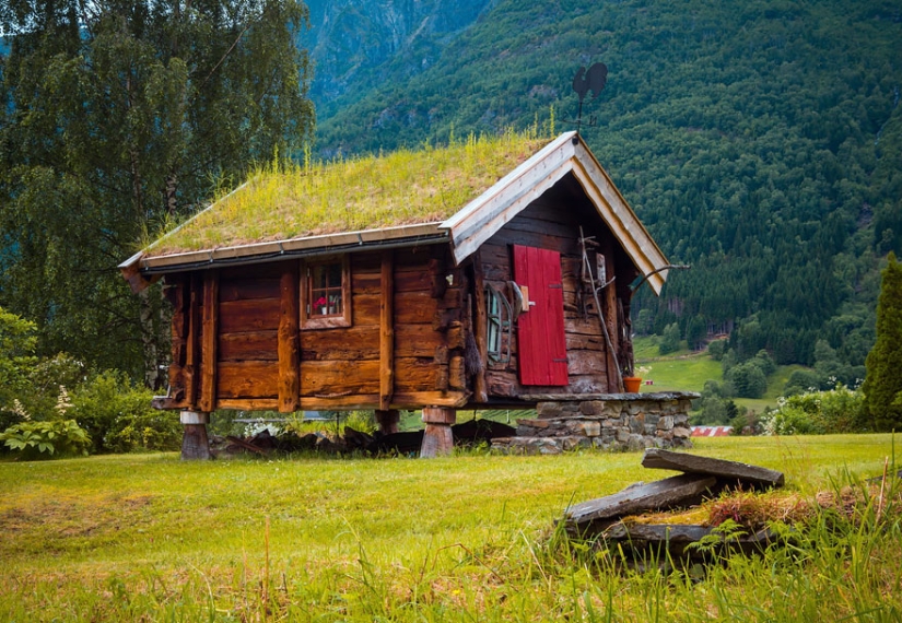 Casas escandinavas con techos verdes que parecen de un cuento de hadas