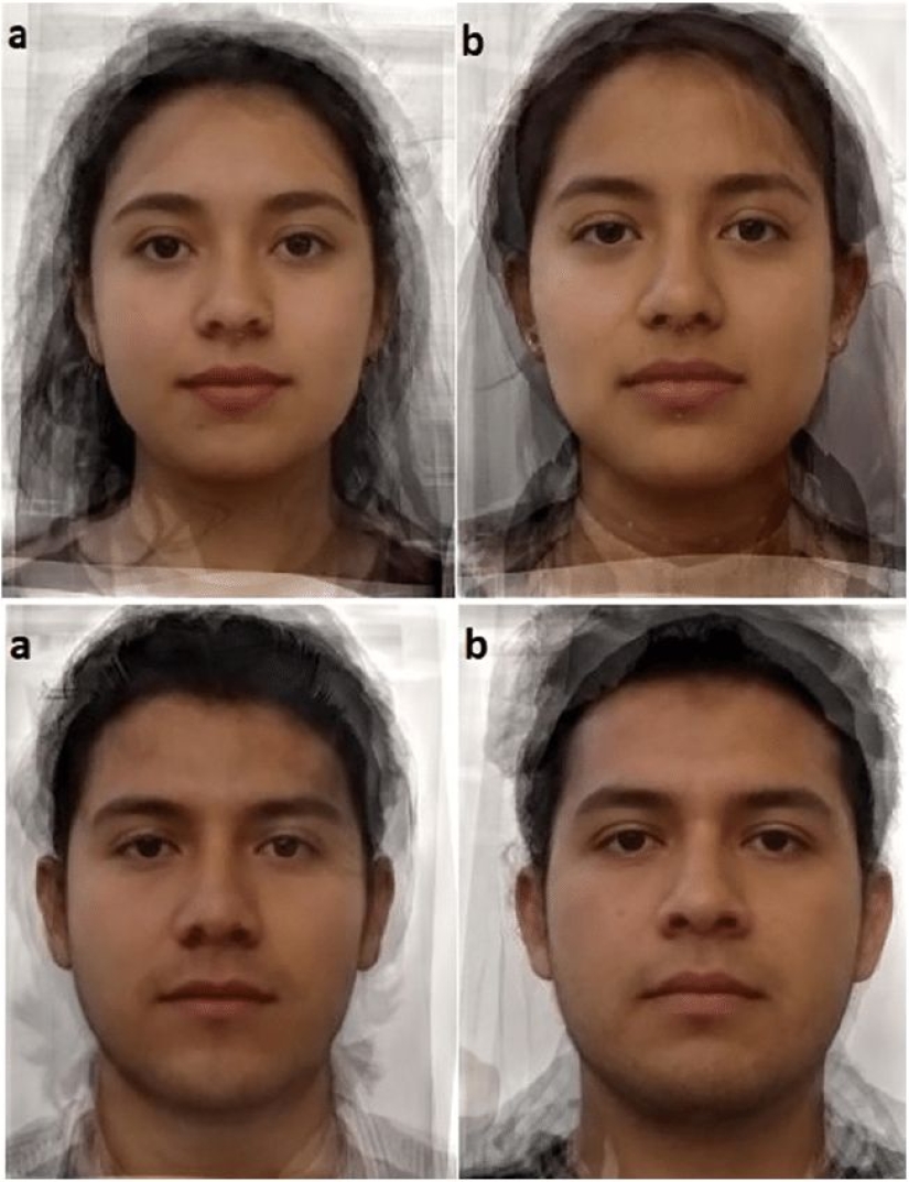 Cat parasites transmitted through feces make people more attractive