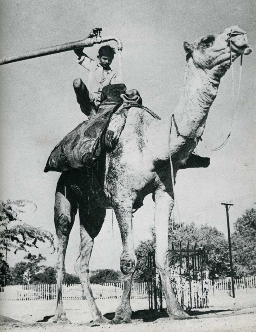 Catch the moment of history: 35 of the most successful photos that decorated LIFE magazine Catch the moment of history: 35 of the most successful photos that decorated LIFE magazine