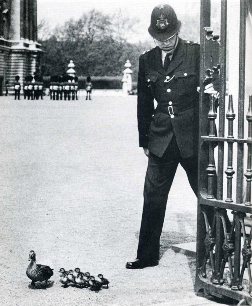 Catch the moment of history: 35 of the most successful photos that decorated LIFE magazine Catch the moment of history: 35 of the most successful photos that decorated LIFE magazine