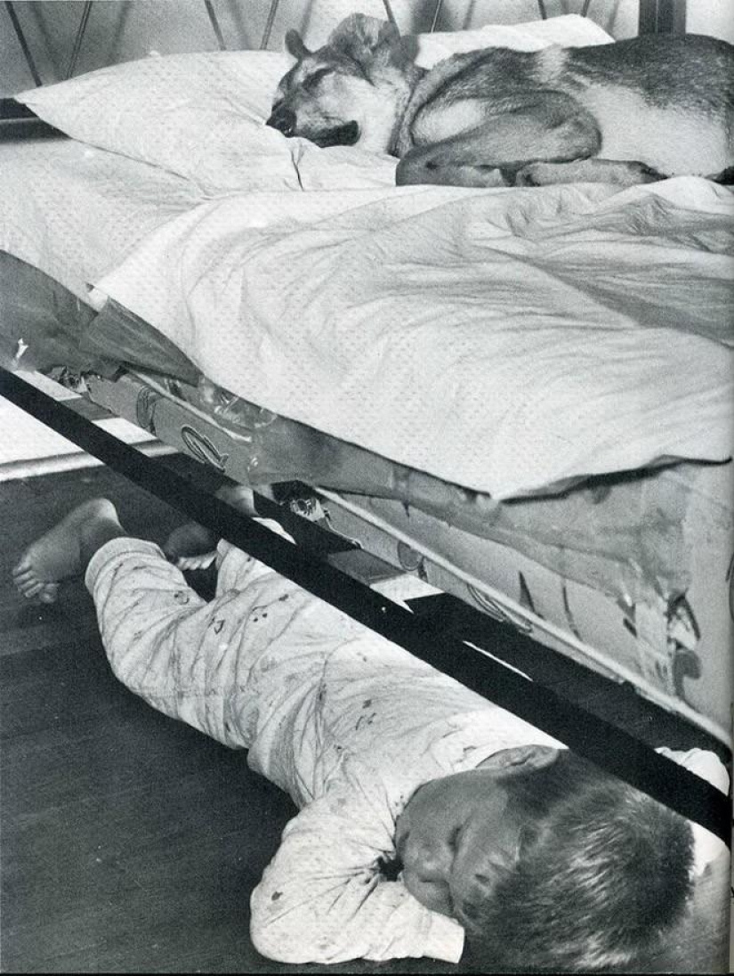 Catch the moment of history: 35 of the most successful photos that decorated LIFE magazine Catch the moment of history: 35 of the most successful photos that decorated LIFE magazine