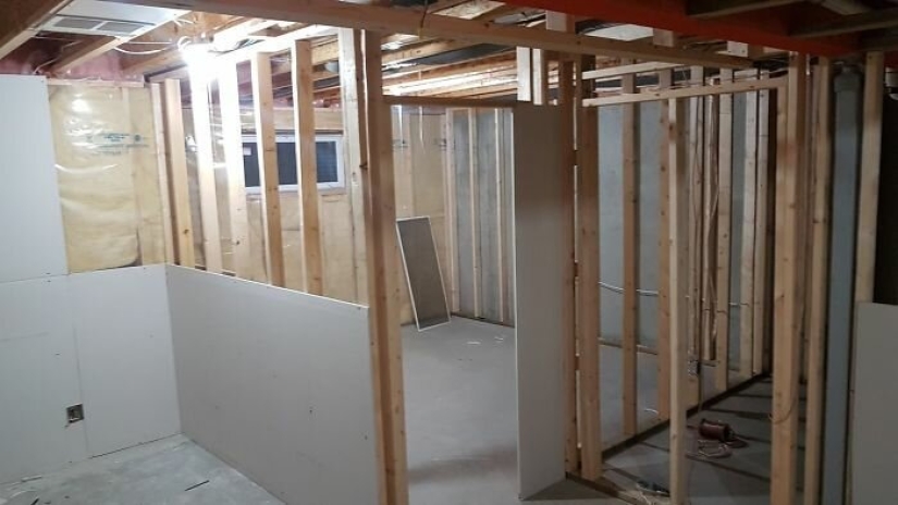 Cat's paradise with his own hands: the guy converted the basement into a room for his dead brother's pets Cat's paradise with his own hands: the guy converted the basement into a room for his dead brother's pets