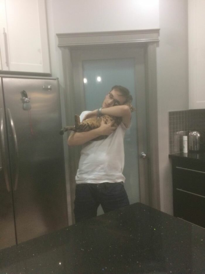 Cat's paradise with his own hands: the guy converted the basement into a room for his dead brother's pets Cat's paradise with his own hands: the guy converted the basement into a room for his dead brother's pets